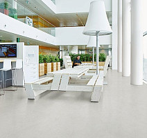 Forbo Marmoleum Decibel on Order 373235 asteroid фото 2 | FLOORDEALER